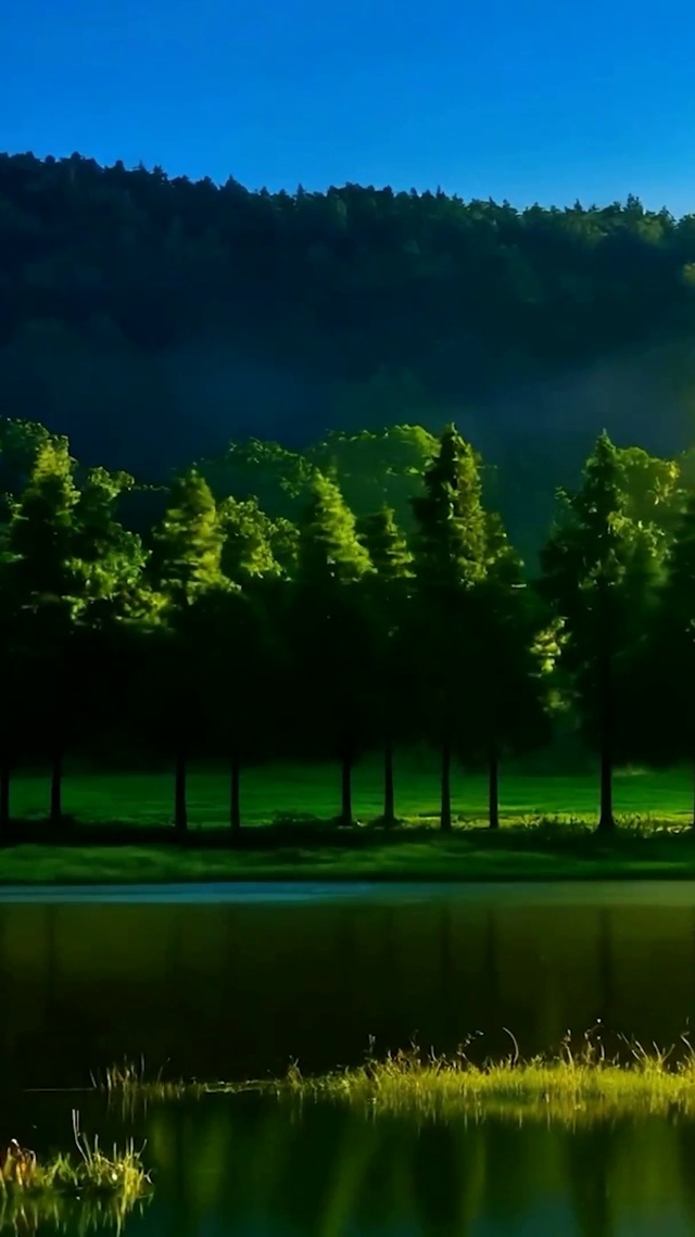 护眼绿景