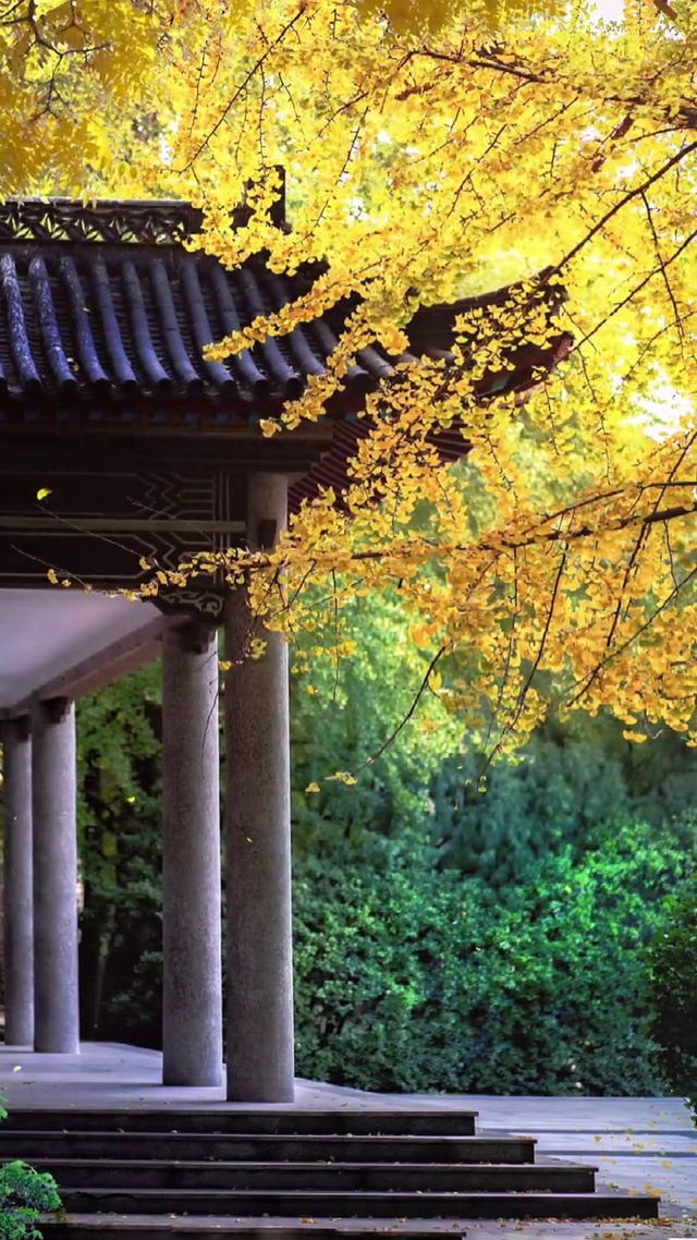 校园美景