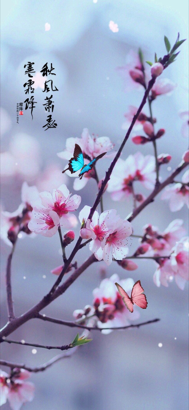 唯美桃花