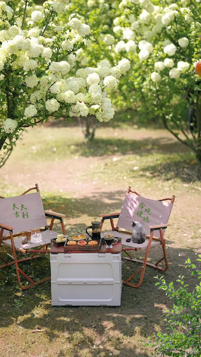 悠闲的下午茶时间