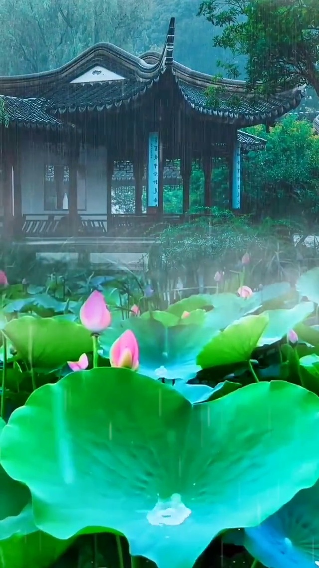 我不喜欢下雨天，但我喜欢雨的声音，就好像我喜欢笑，但我好像不快乐。