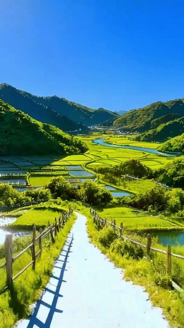 治愈田间小道4K