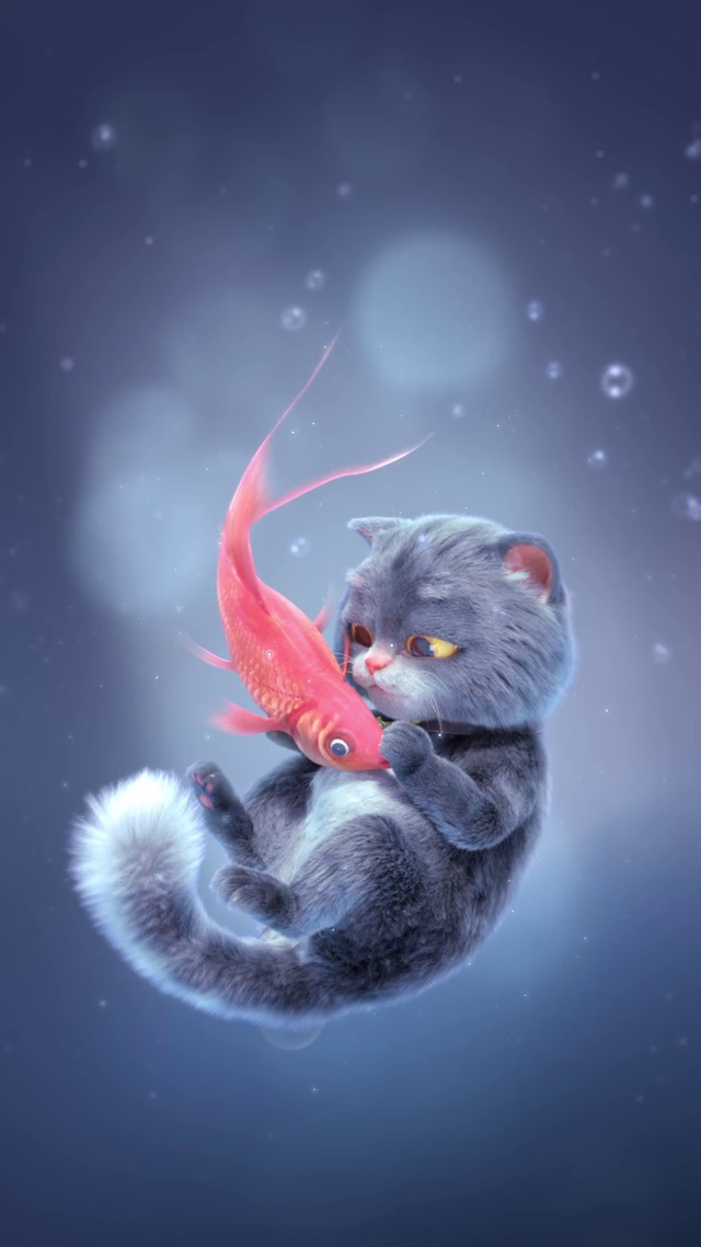 猫与鱼