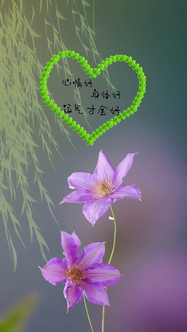 心情好身体好 运气才会好