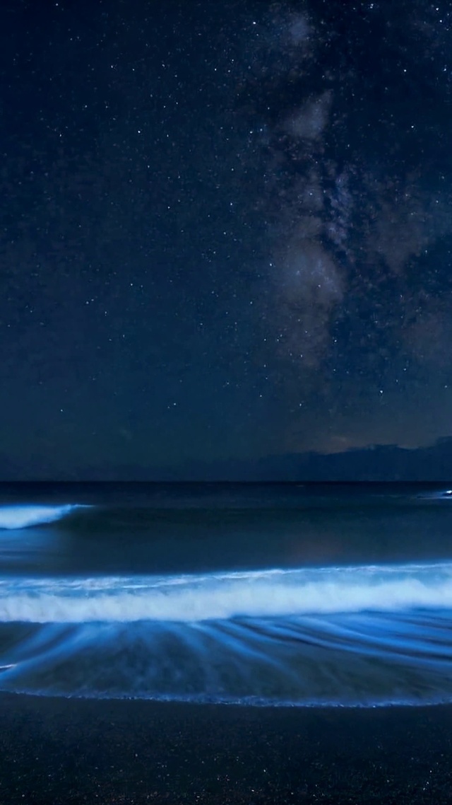 蓝眼泪星空海岸夜景