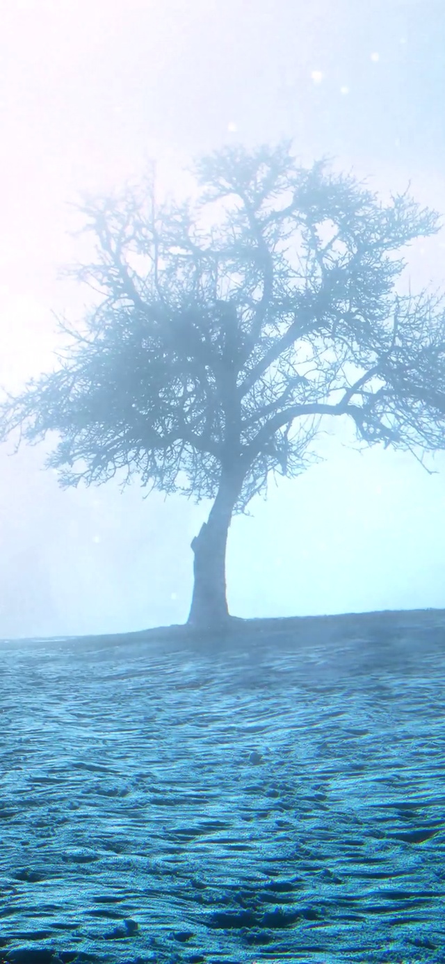 旷野暴风雪（4K唯美）