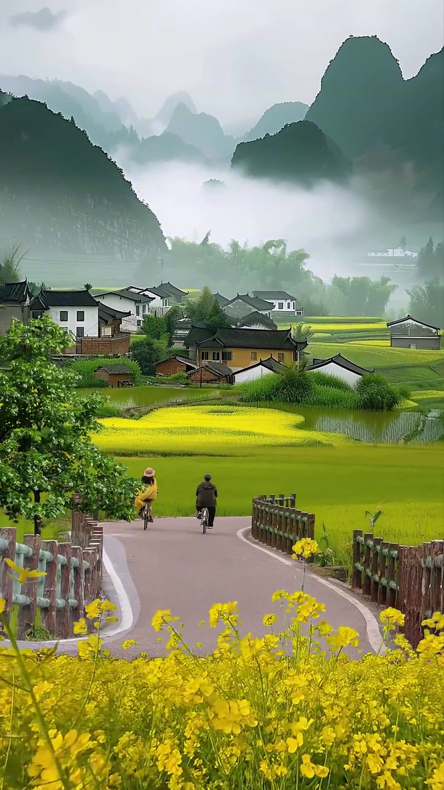 风有约，花不误