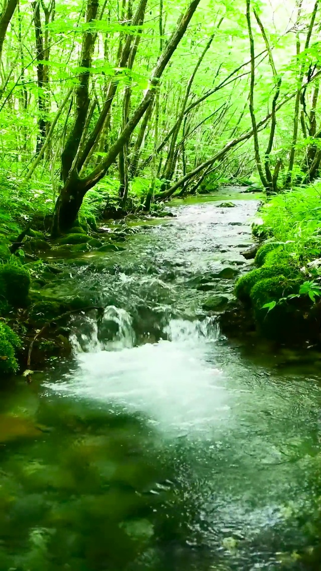 护眼绿林流水