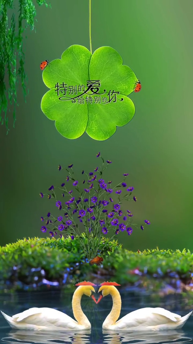 特别的爱给特别的你