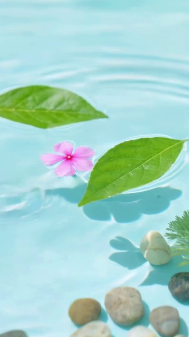 清澈水波与浮花