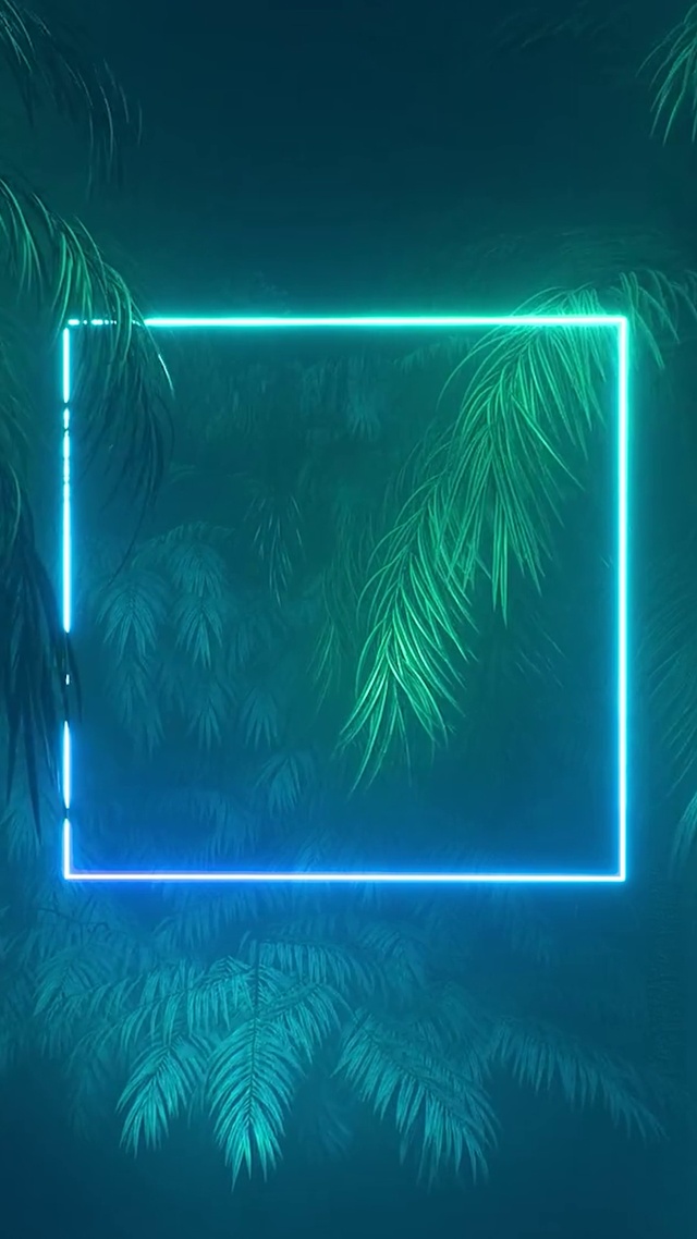 霓虹边框绿植