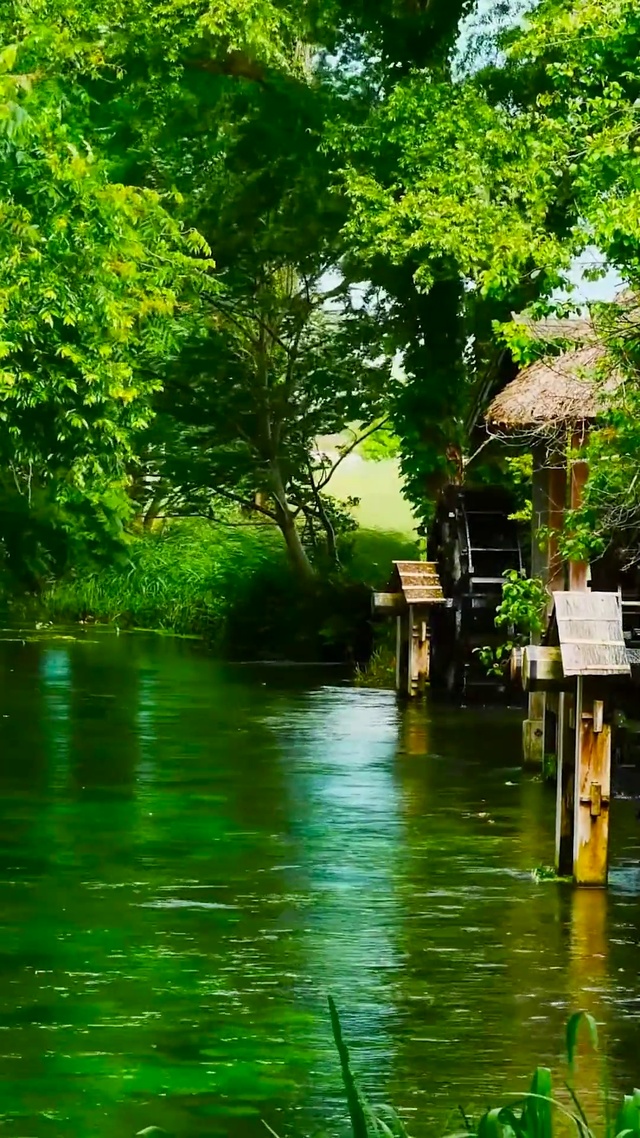 护眼绿林溪流水车