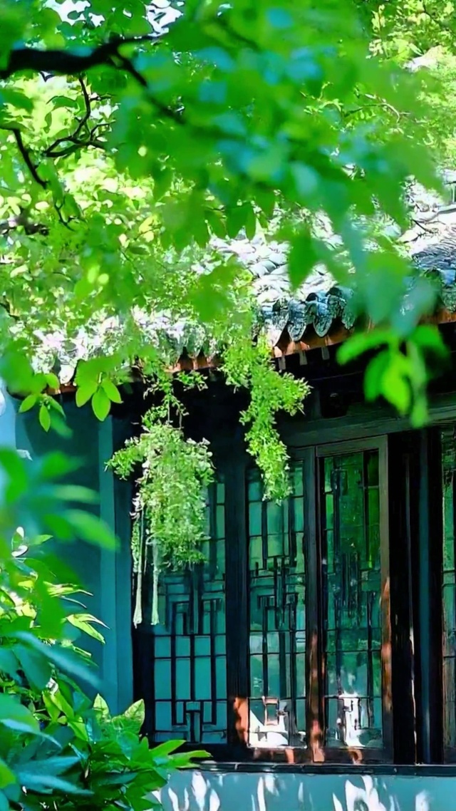 护眼治愈庭院4K