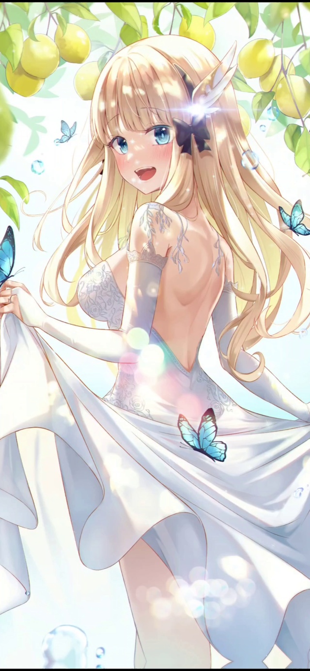 阳光下的蝴蝶婚纱少女