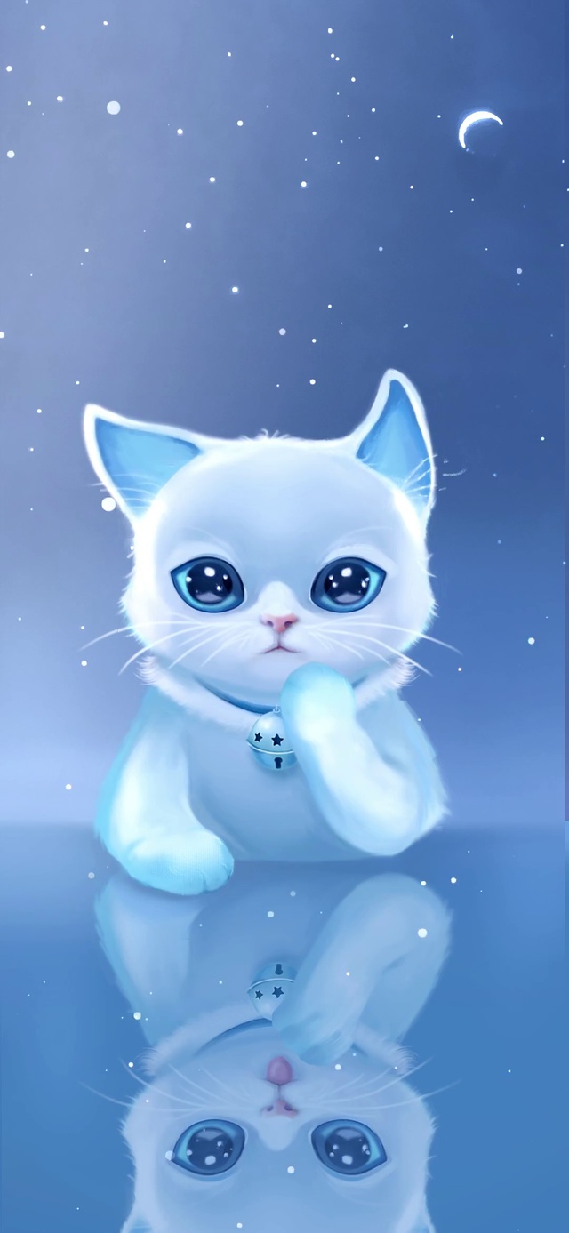 治愈蓝色可爱猫咪