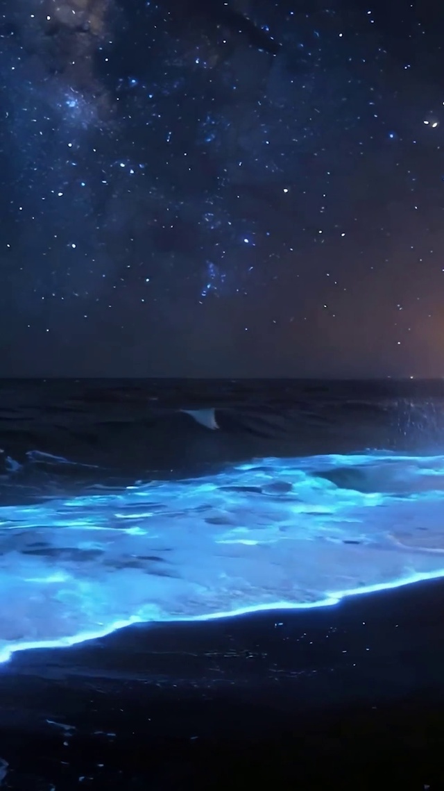 夜景海景