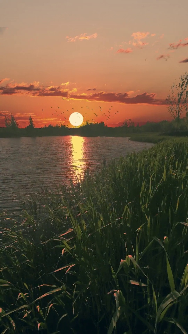 落霞与孤鹜齐飞，秋水共长天一色