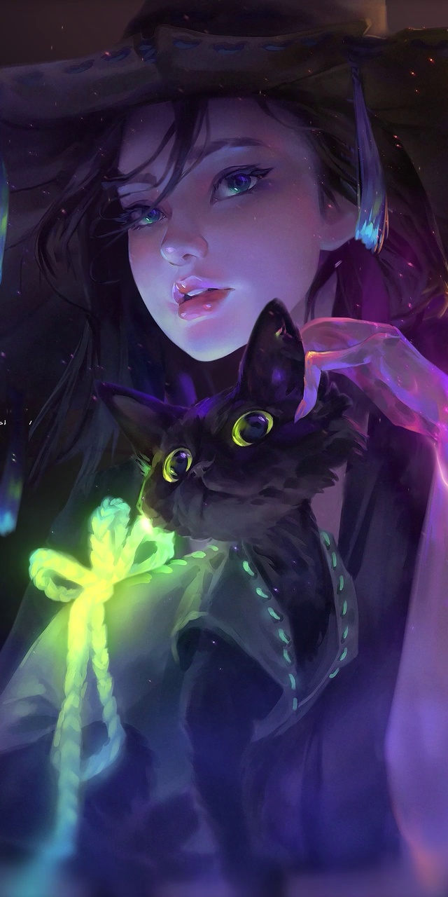黑猫