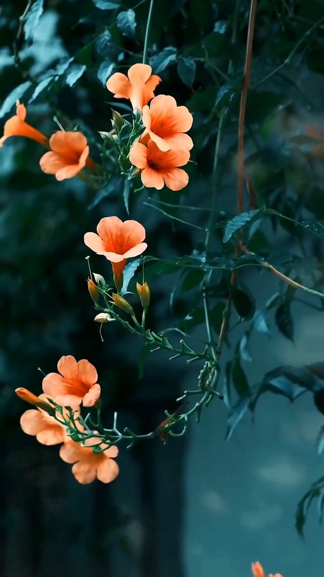 秋风知我意