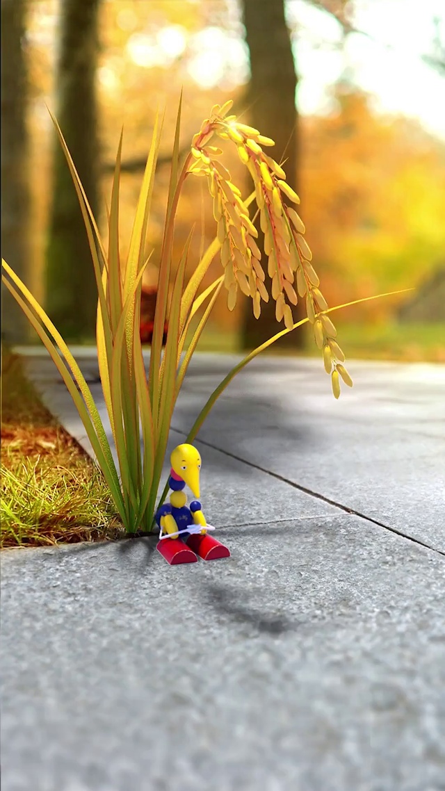 积木奥斯卡-爆米花