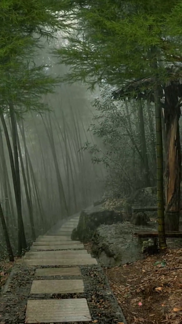 竹杖芒鞋轻胜马，一蓑烟雨任平生