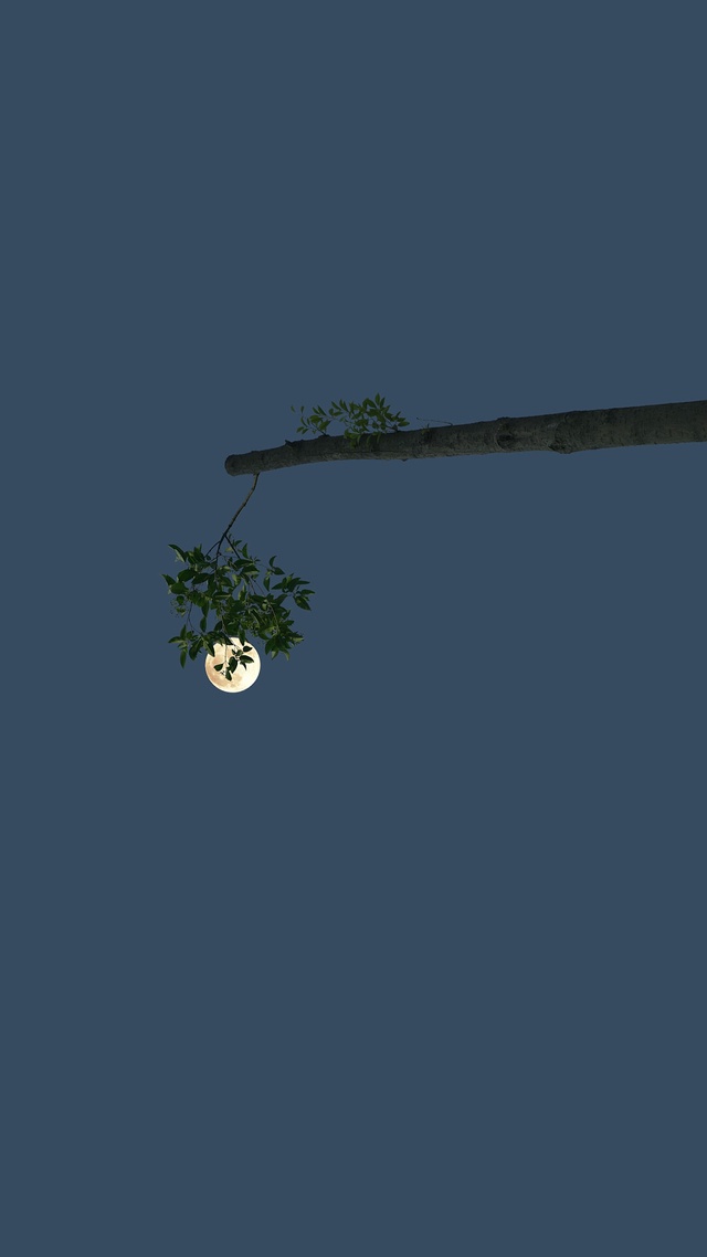 简简单单的壁纸