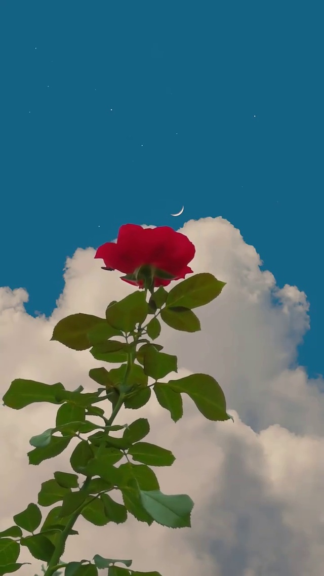 I hope it's all you 我希望开头、过程和结尾都是你。