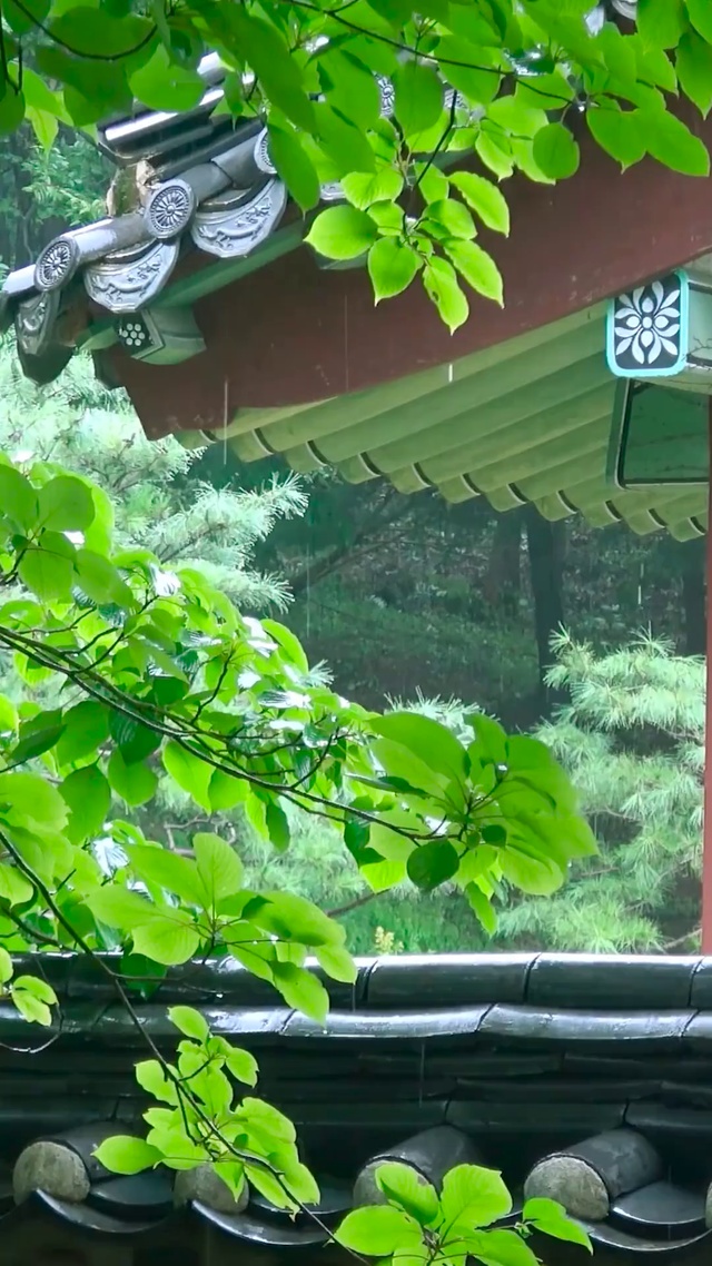 治愈静心院落雨