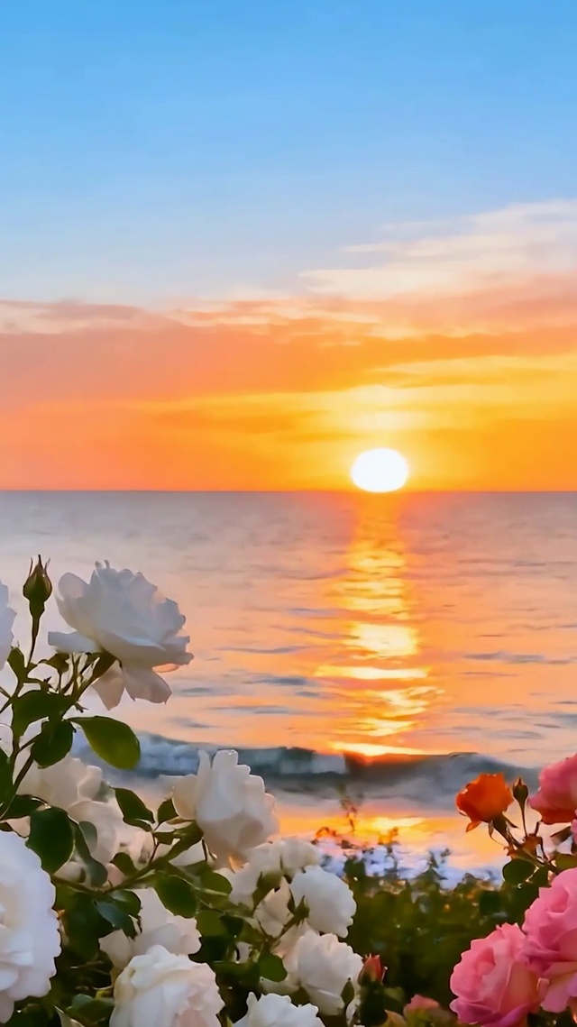 夕阳海