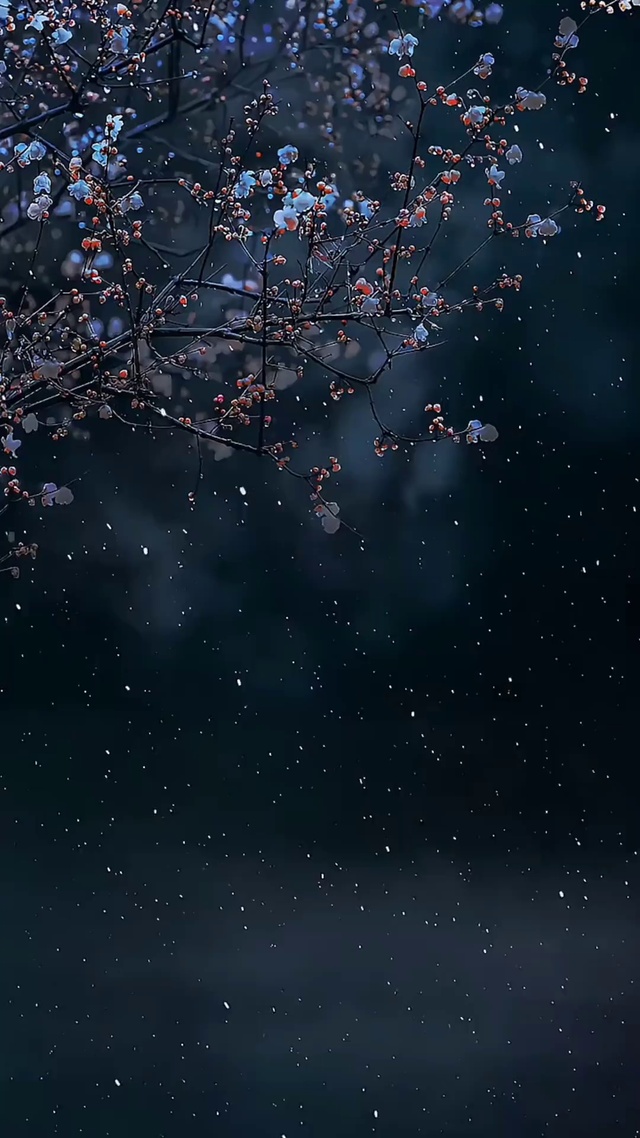 雪中梅花