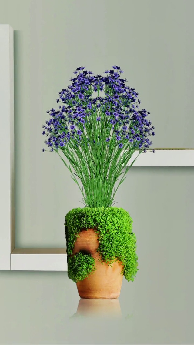 花花世界