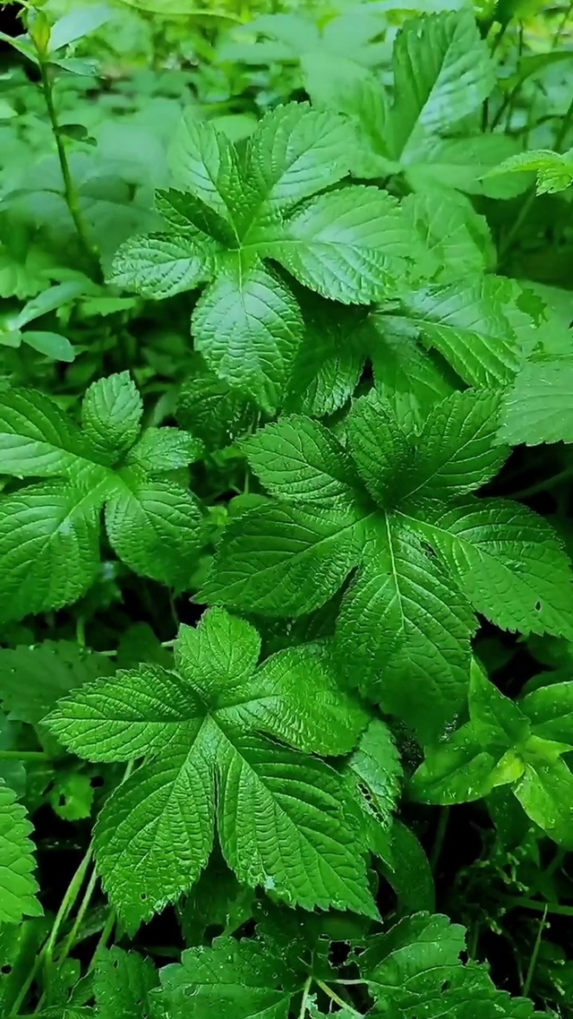 让眼睛休息一下吧