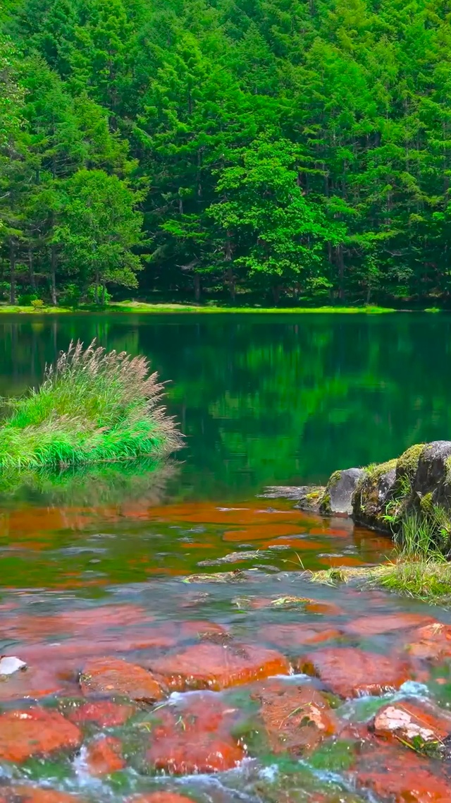 4K夏日青山绿水湖