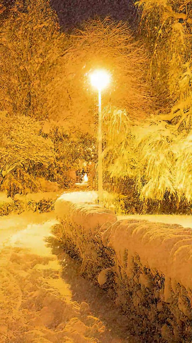 路灯雪