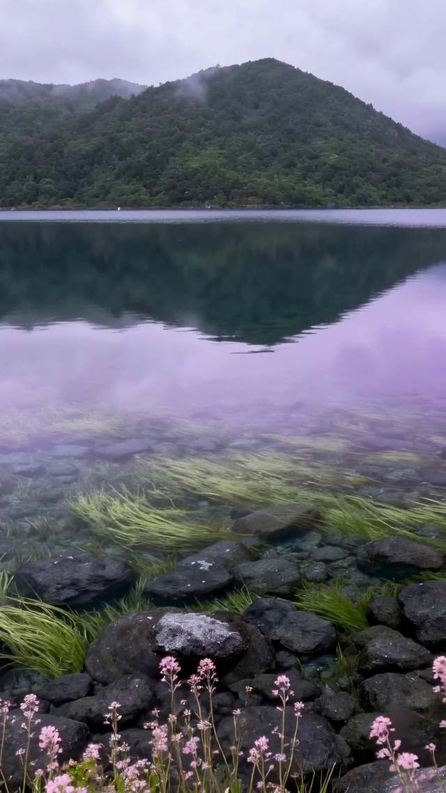 紫雾湖畔