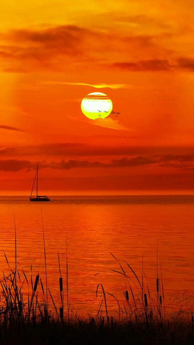 落霞与孤鹜齐飞，秋水共长天一色