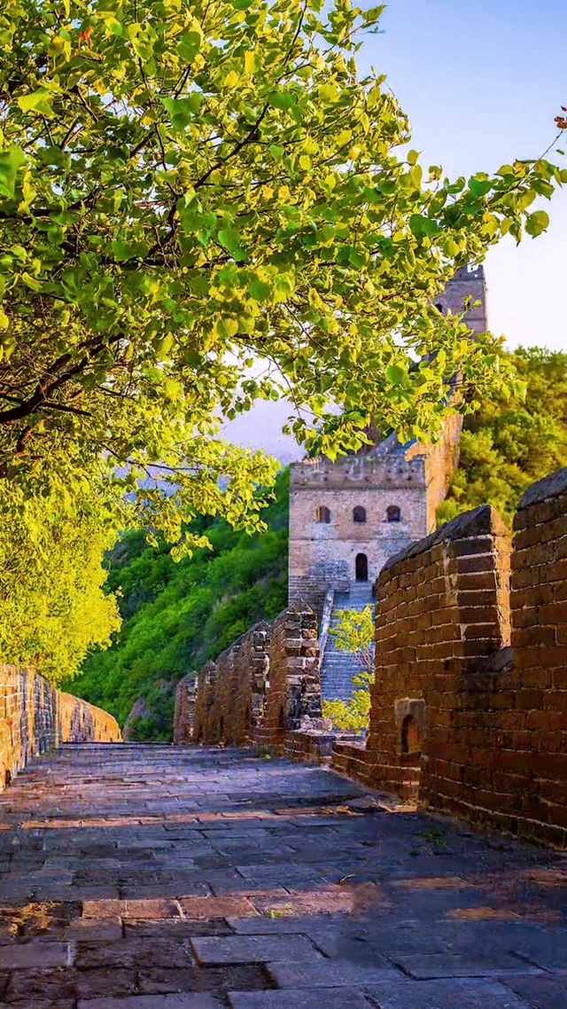 看四季交替，品人生轮回