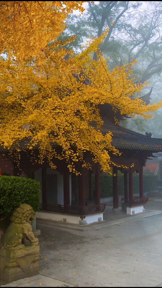 世间文字八万个，唯有情字最伤人。人有生老三千疾，唯有相思不可医！