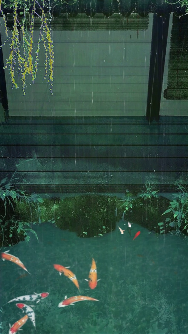雨池观鲤鱼戏水
