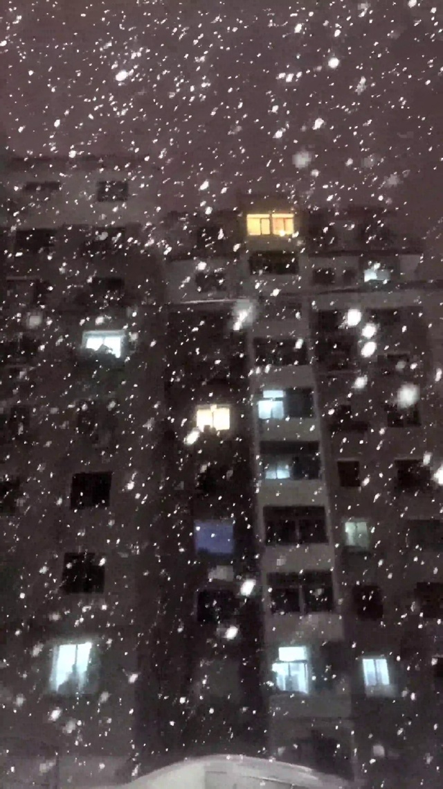 路灯下的雪