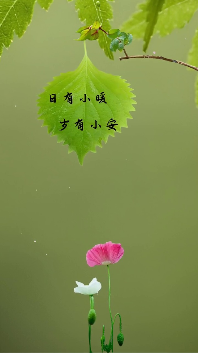 日有所暖 岁有小安