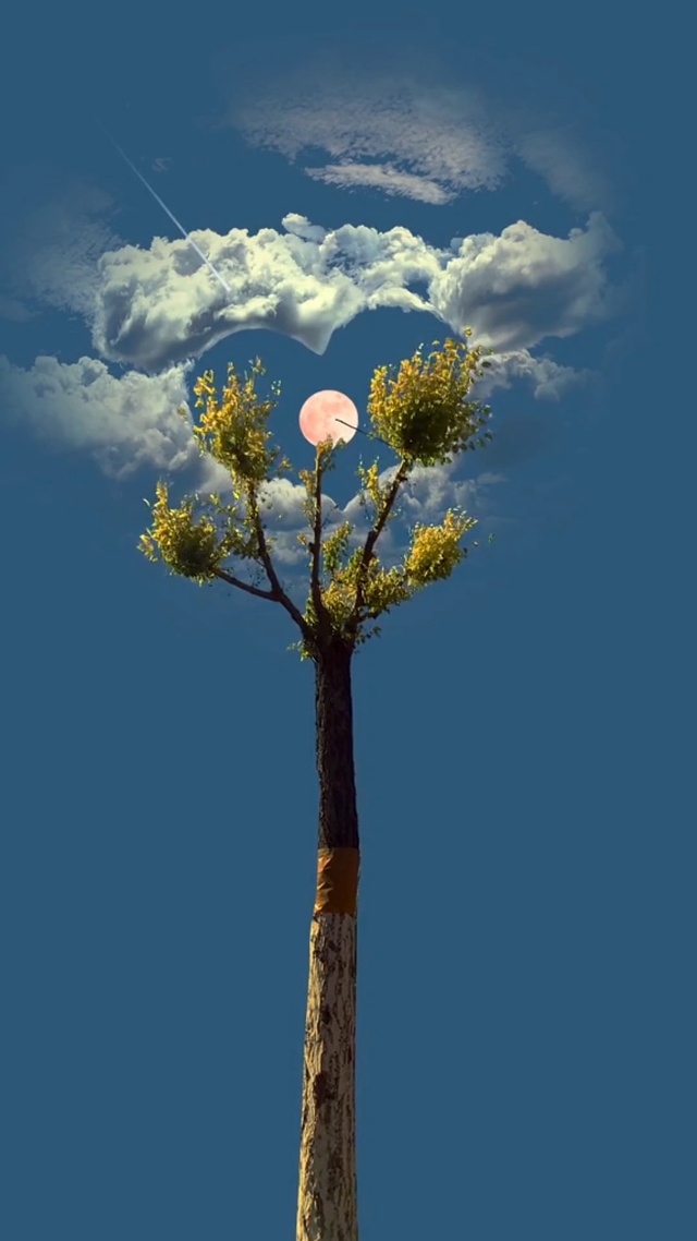 你的独一无二的偏爱