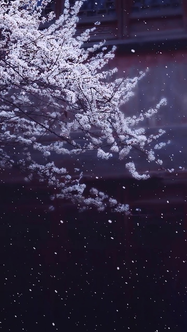 雪落梅间