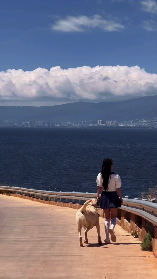 夏天一起去吹海风