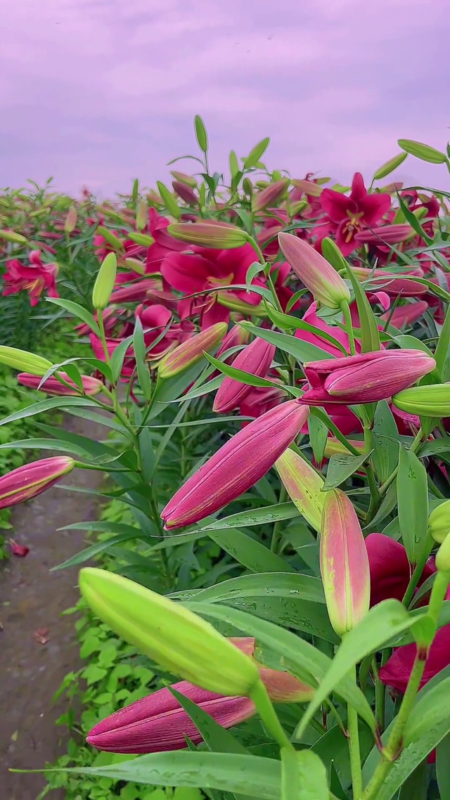 2024合合美美，好运连连