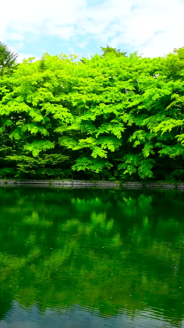 4K新绿秀丽湖景