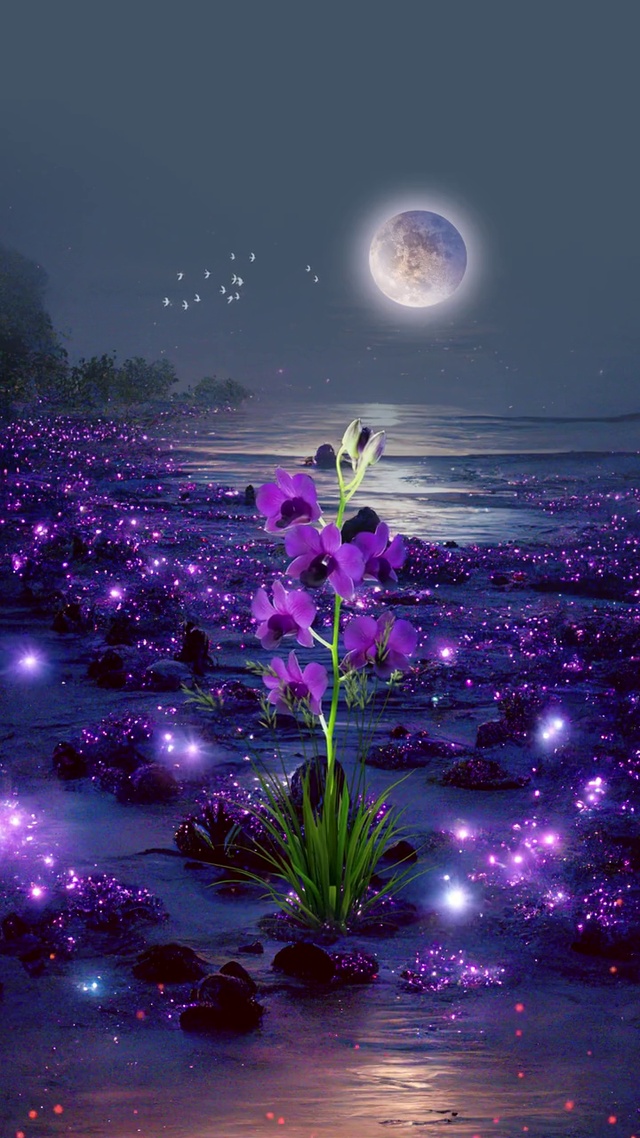 紫色花花