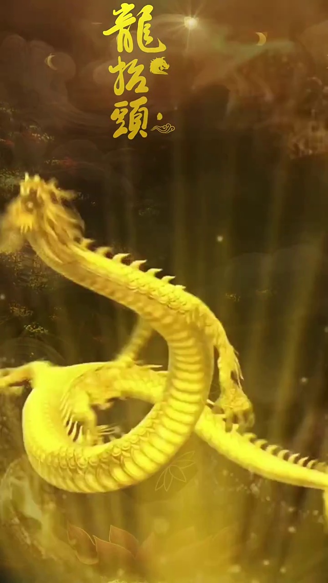 龙抬头！好运不断，喜事连连。