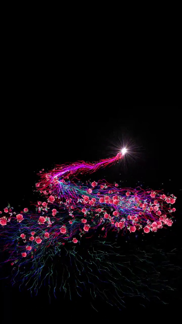 炫彩夺目精彩绝伦