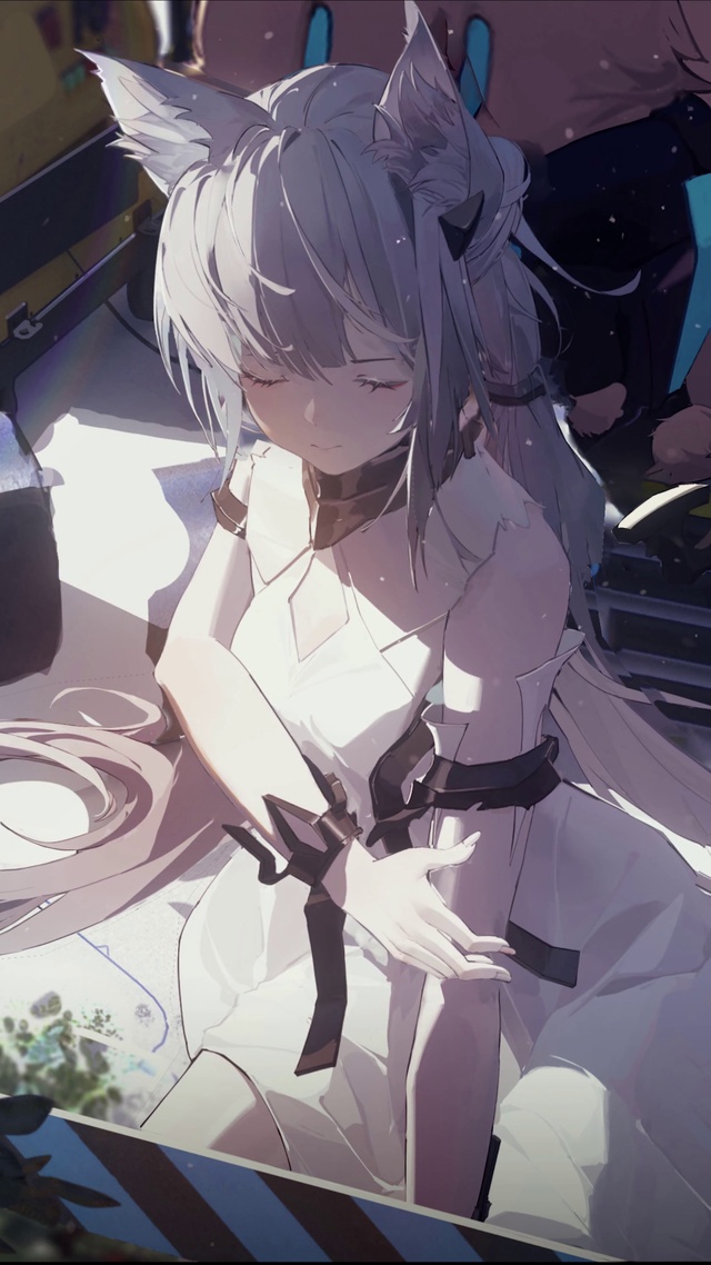 迷迭香(作者:loftcat)